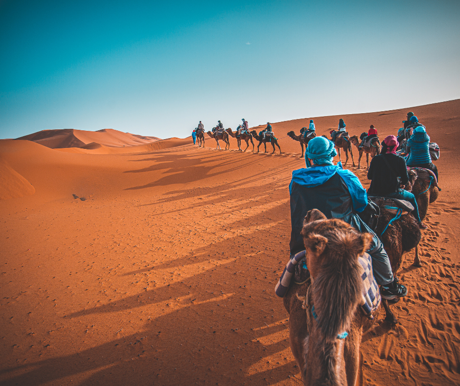 Eliezer, in the story of Rebekah from the Bible, lead quite an impressive caravan of a total of 10 camels.